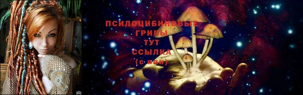 дживик Абинск