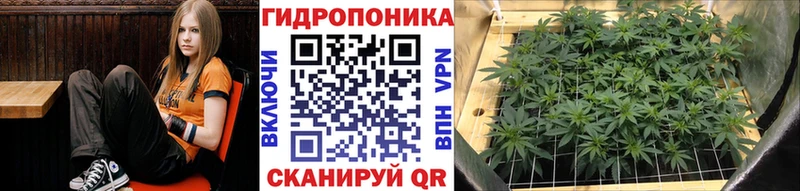 Бошки марихуана тримм  hydra ССЫЛКА  Азов 